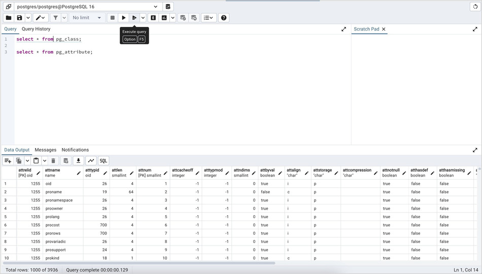 Query tool execute query section