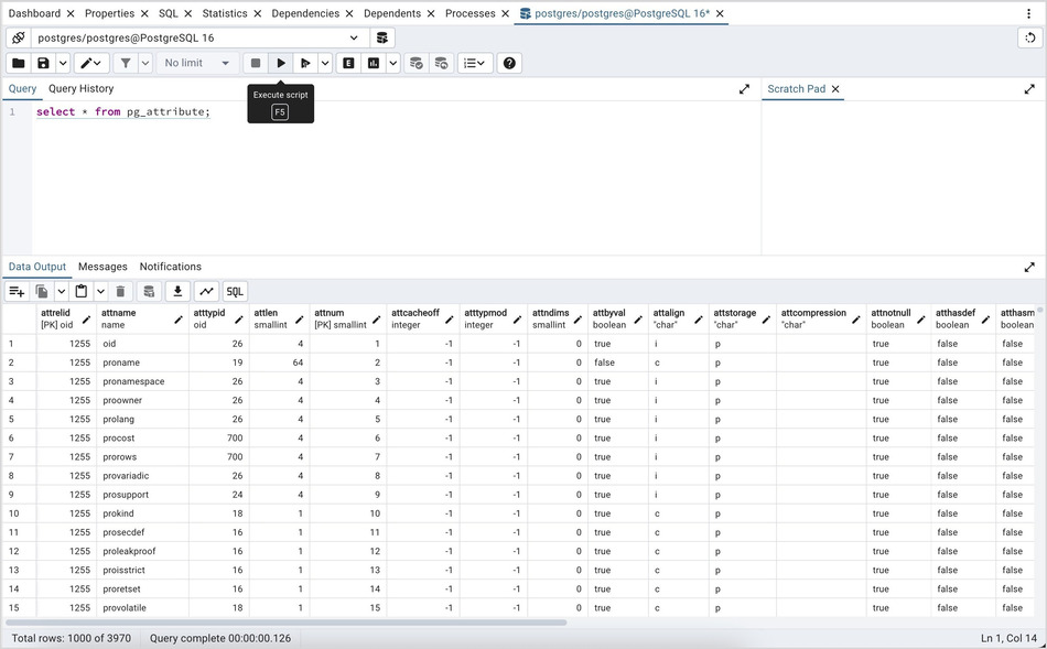 Query tool execute script section